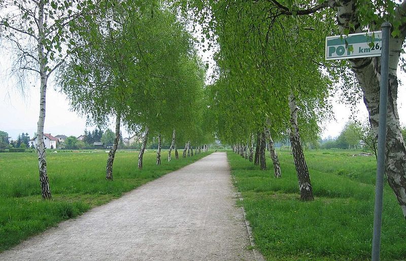 Peš po zeleni Ljubljani