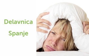 Delavnica Spanje