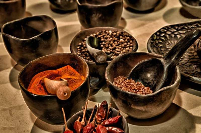 Zgodovina na krožniku: paprika in čili