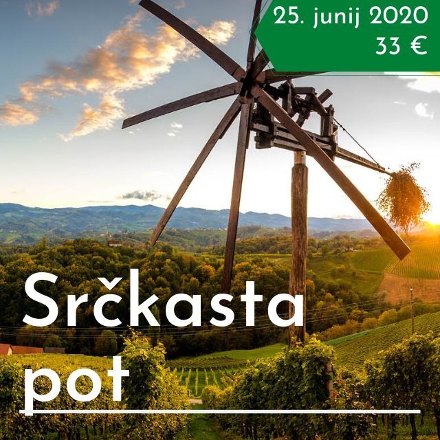 Srčkasta pot - srce med vinogradi